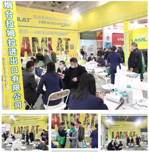 水溶肥，拉姆拉，翠姆