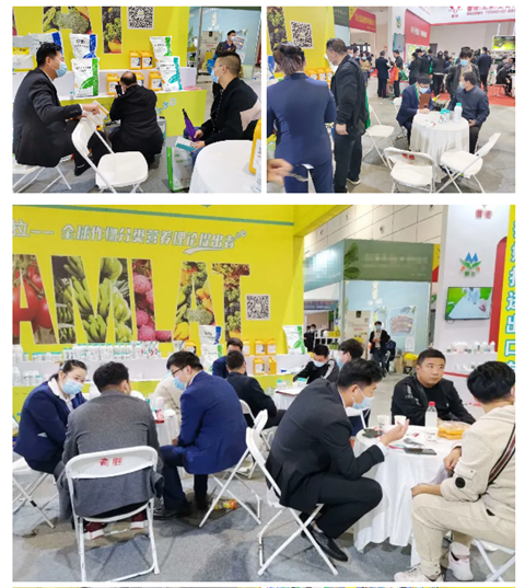 水溶肥，拉姆拉，翠姆